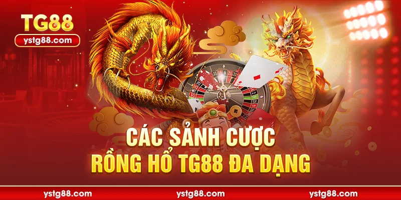 Các sảnh cược Rồng hổ TG88 đa dạng